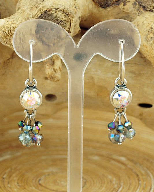 Oorbellen Swarovski Rainbow Bundel zilver - HanneHaves
