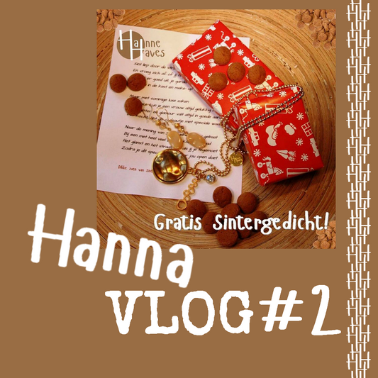 HannaVlog #2 Sinterklaas gedicht