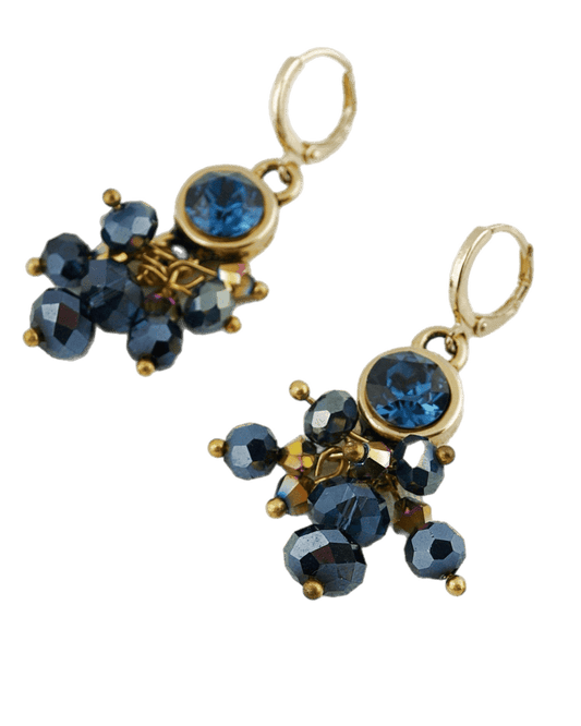 Oorbellen Swarovski Blauw Bundel - HanneHaves