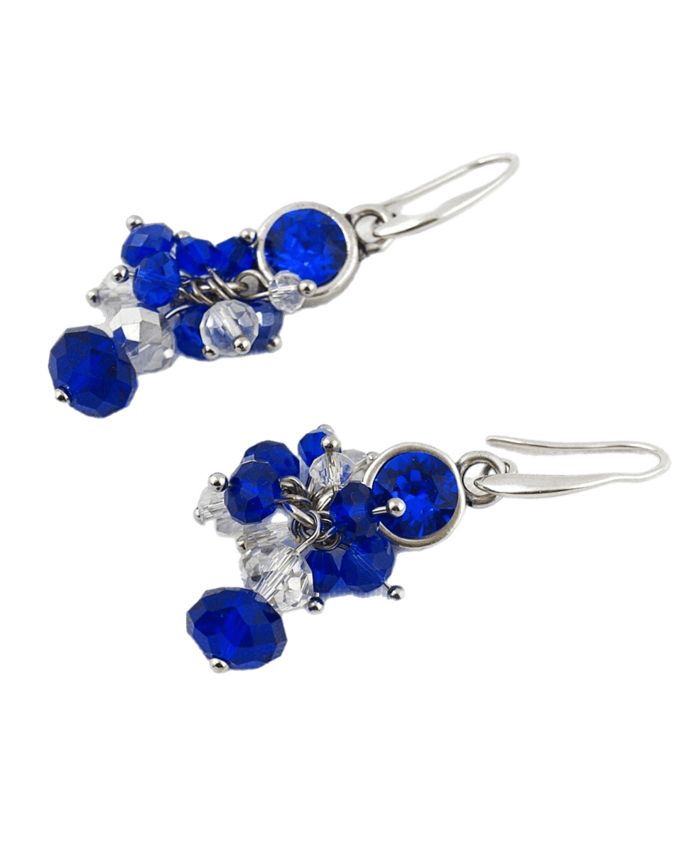 Oorbellen Swarovski Blauw Bundel zilver - HanneHaves