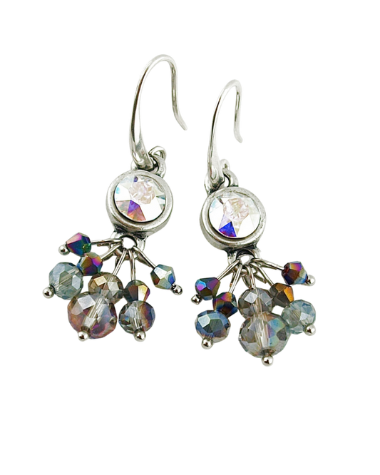 Oorbellen Swarovski Rainbow Bundel zilver - HanneHaves